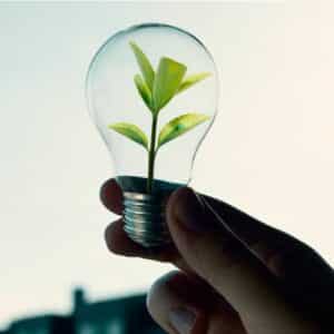 Alimentation Durable