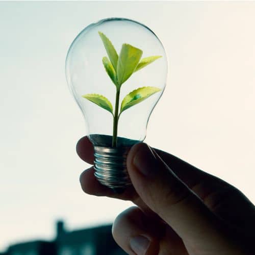 Alimentation Durable